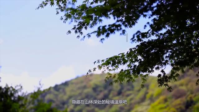 梅花易之出行占