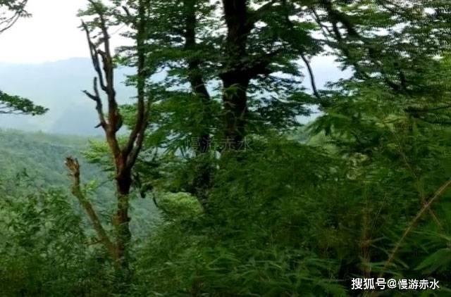 粘合剂选型注意:确保黏合力与材料兼容性