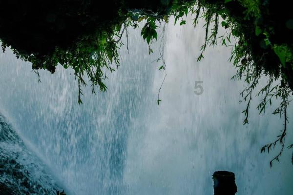 新春走基层丨春节临近 “中国淡水鱼都”百年鱼市销售旺