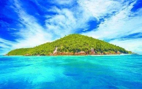 被击落俄机黑匣子已被寻获，将进行破译