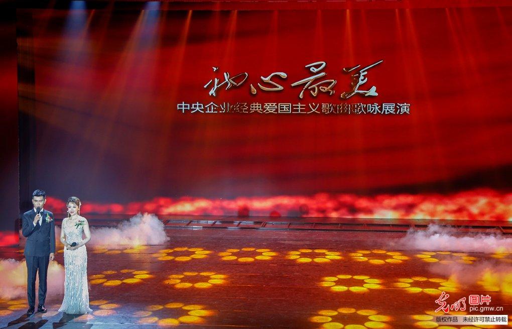 为什么不建议养金丝熊