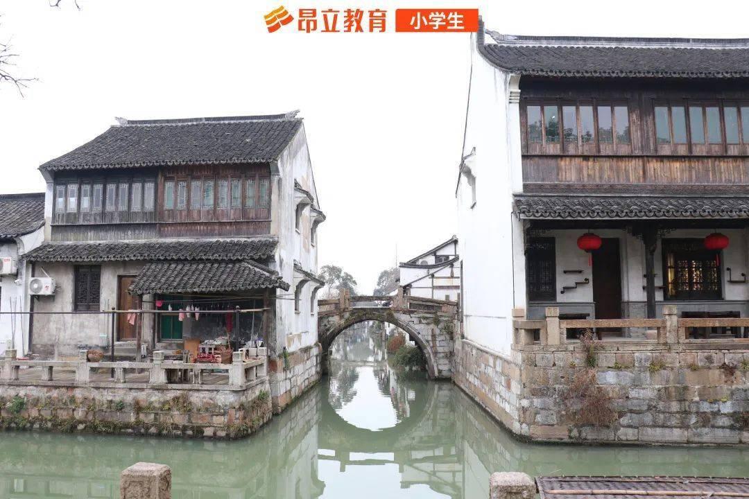 逗小猴开心系列187