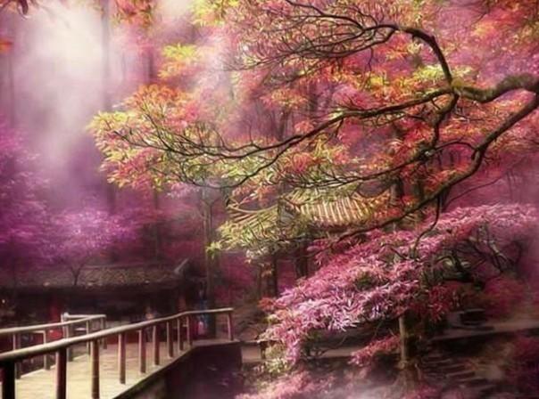 双点医院